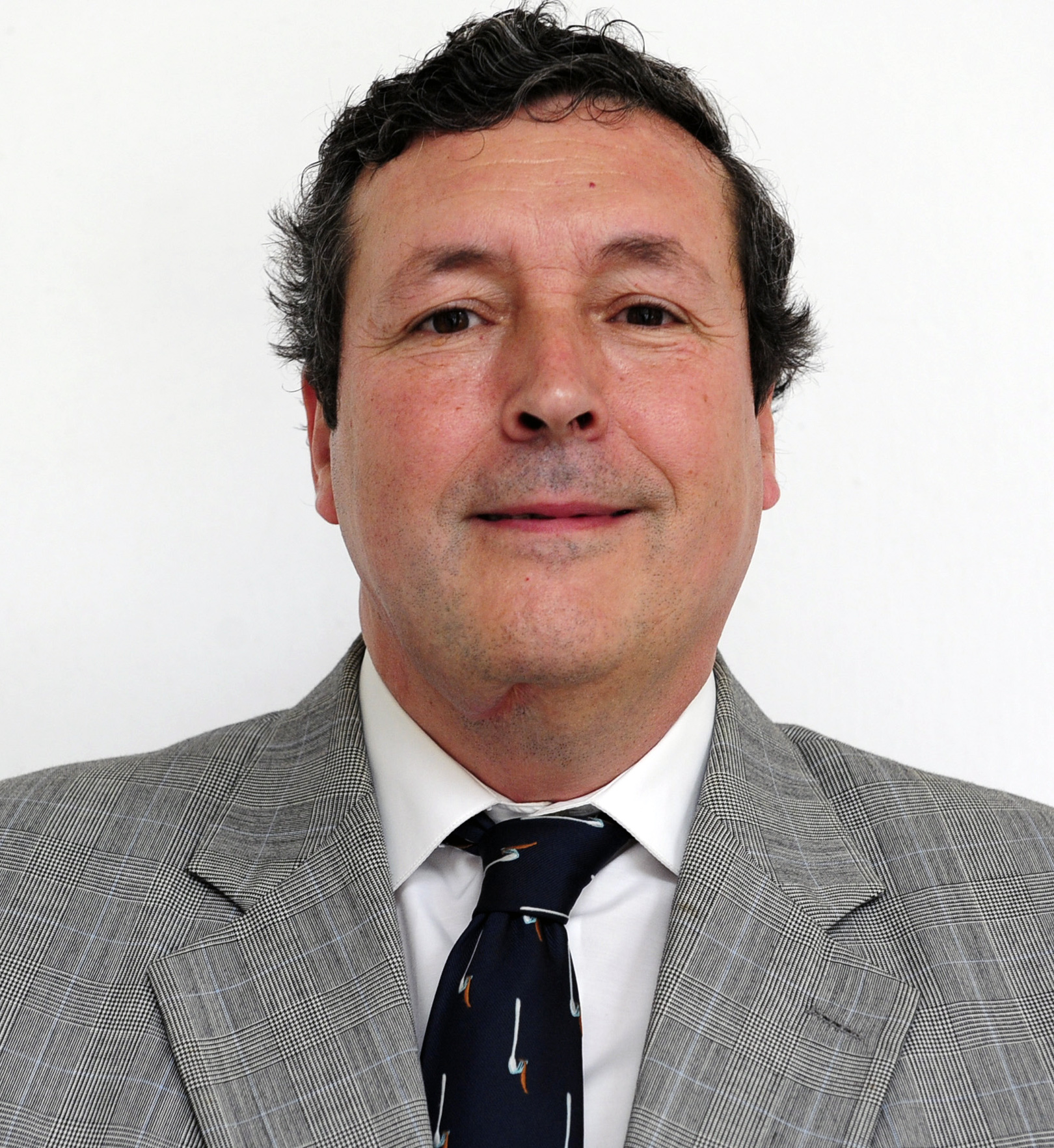 Fernández García, Íñigo