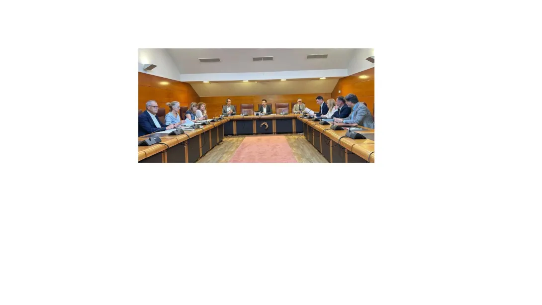Comisión Inclusión Social